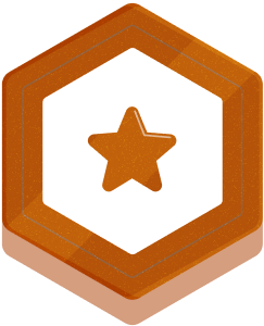 Bronze partner tier badge