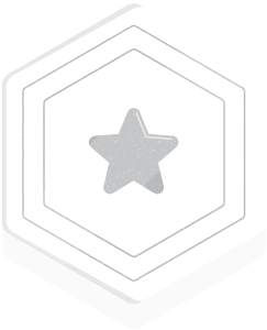 Launch partner tier badge
